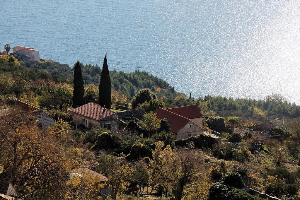 Art House Old Village Есенице Экстерьер фото